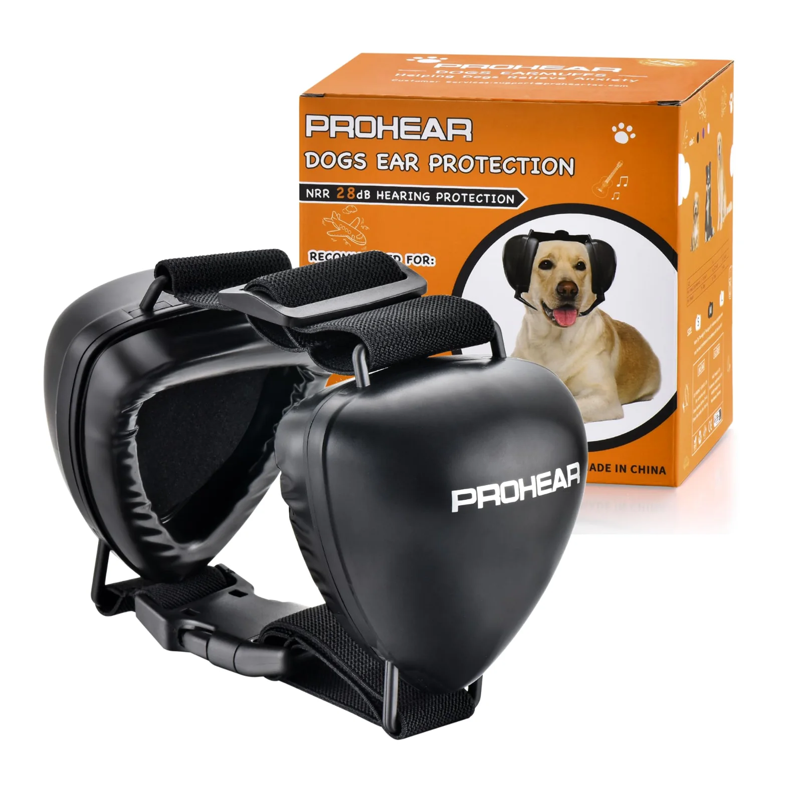 A dog wearing ear muffs